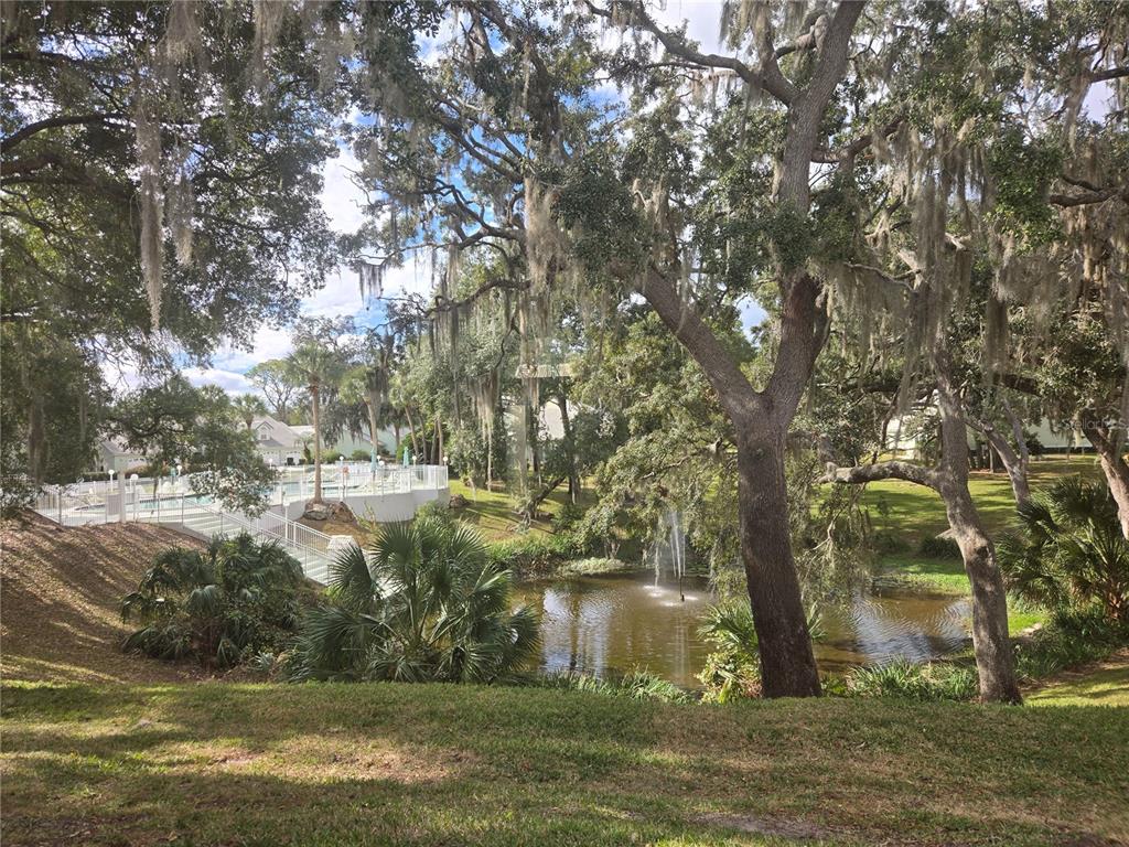 719 Balmoral Court Inverness, FL 34453 - Photo 19 of 29 a view of lake view