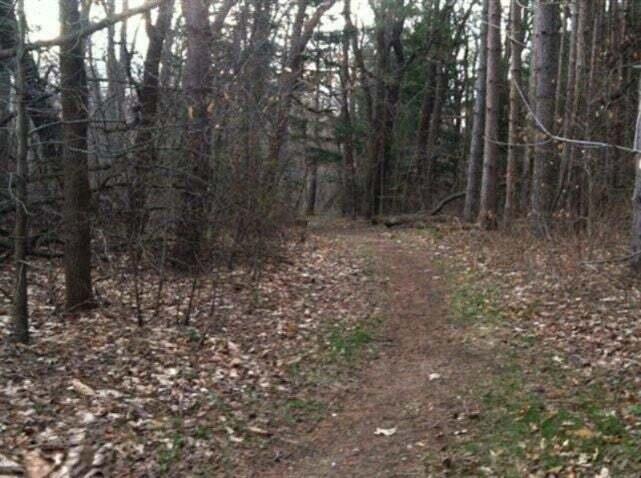 82078 North Street Coloma, MI 49038 - Photo 22 of 28 Ross Preserve trail