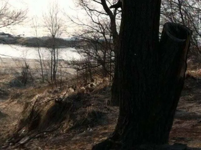 $145,500 | 82078 North Street, Coloma, MI 49038