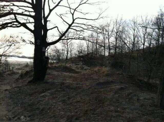 $145,500 | 82078 North Street, Coloma, MI 49038