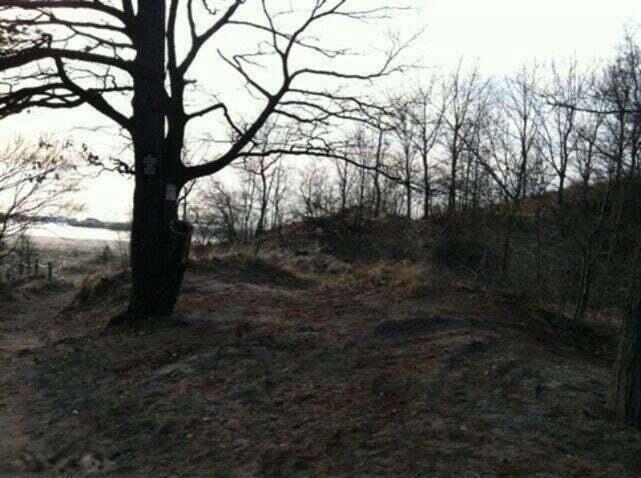82078 North Street Coloma, MI 49038 - Photo 28 of 28 Roadside Beach dune