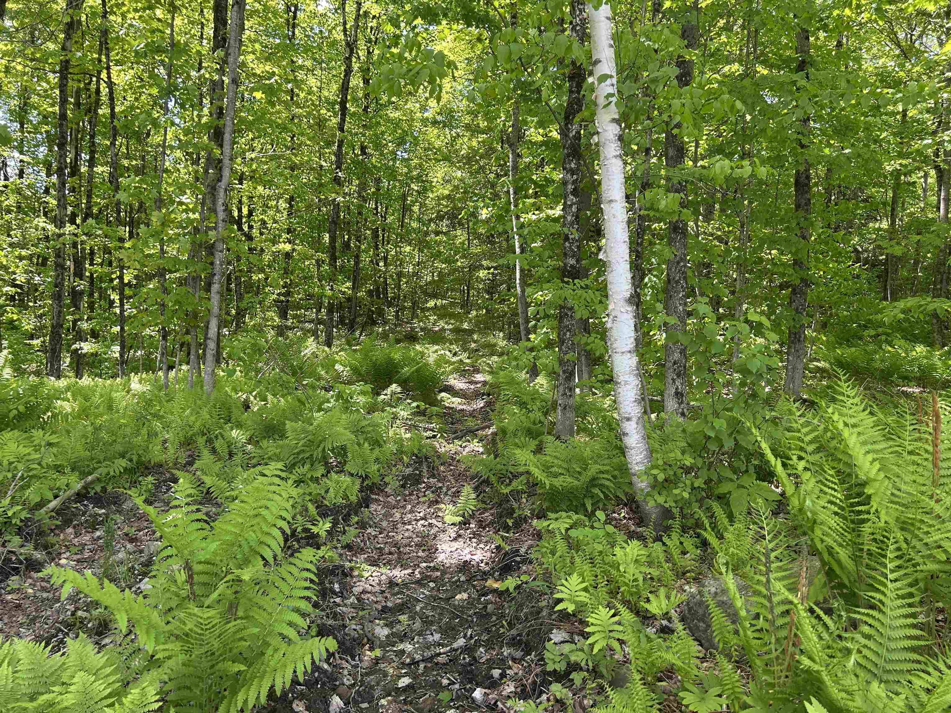 Lot 2 Pion Rd Street St. Albans, VT 05478 - Photo 10 of 15