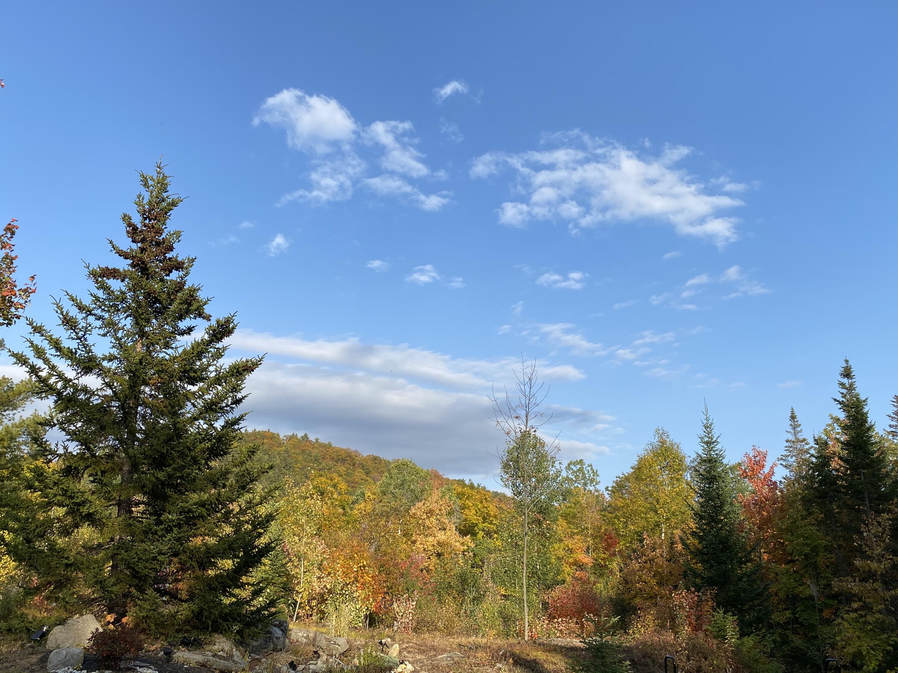 0 Manko Road Bethel, ME 04217 - Photo 5 of 26 View