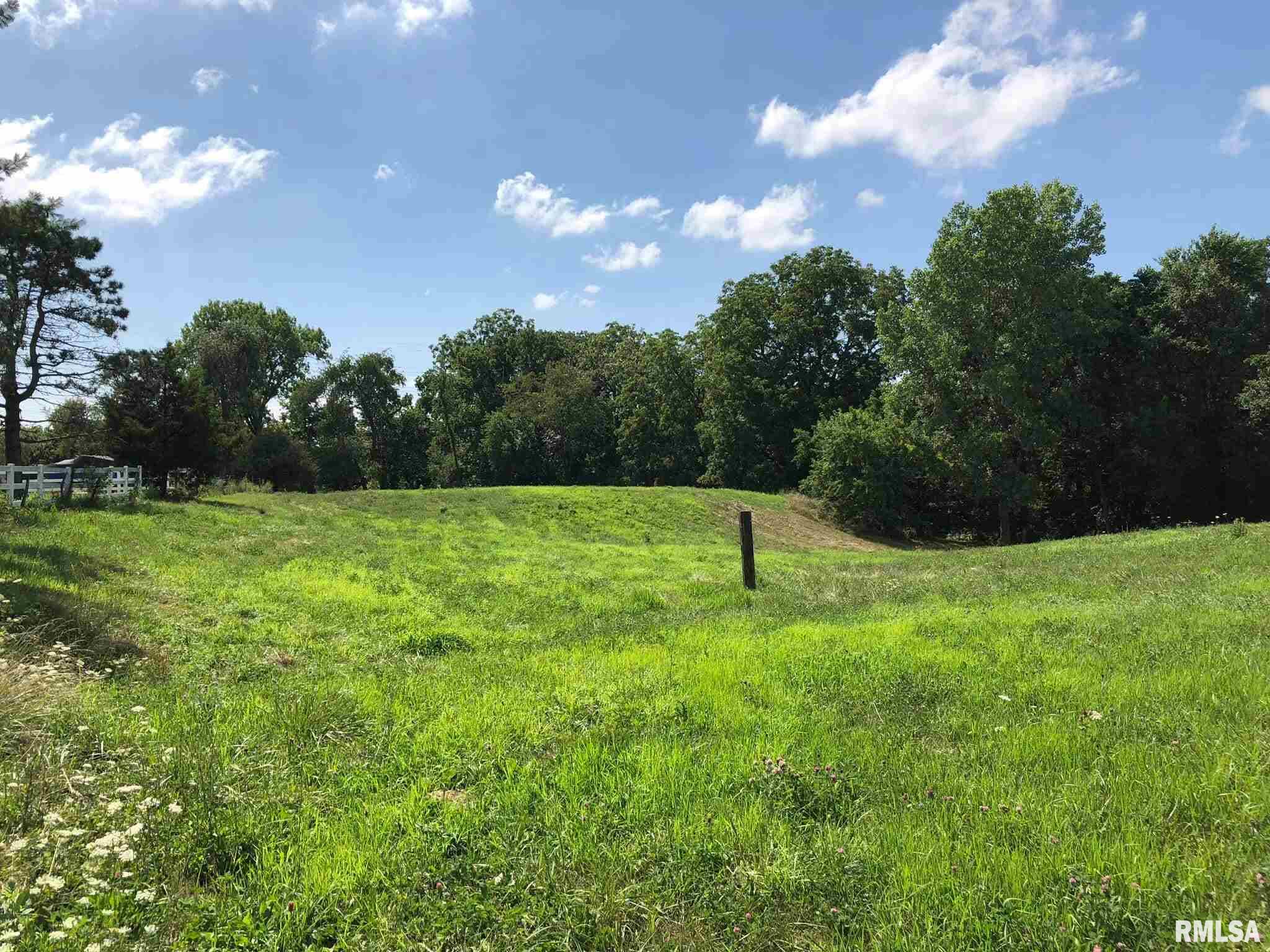 0 North Evans Mill Road Princeville, IL 61559 - Photo 1 of 4 Gallery Image 1
