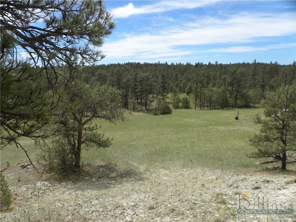 0 Springfield Trail Roundup, MT 59072 - Photo 1 of 1 Gallery Image 1