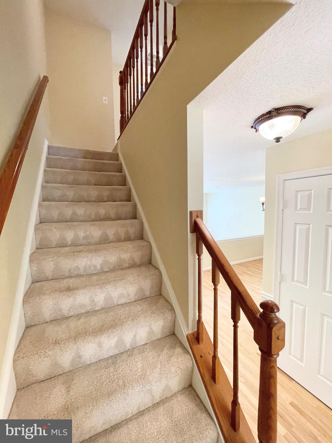 8109 Squirrel Run Road Springfield, VA 22152 - Photo 27 of 52