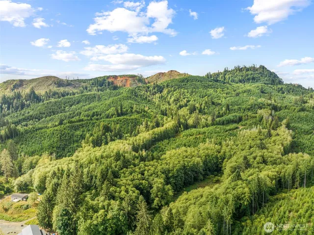 a view of a city with lush green forest
