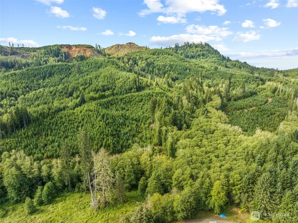 a view of a green field with lots of bushes