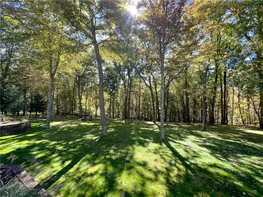 7034 Forrest Trail Road Butler, PA 16002 - Photo 25 of 25 a big yard with trees