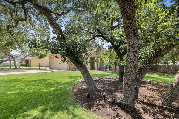 a view of a trees in a yard