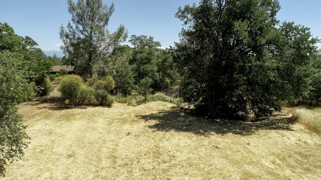 a view of a yard with trees