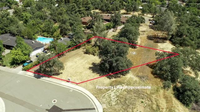 a view of a outdoor with potted plants