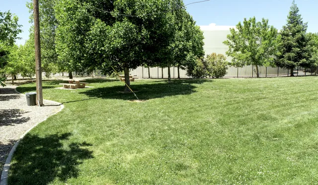 a view of a park with trees