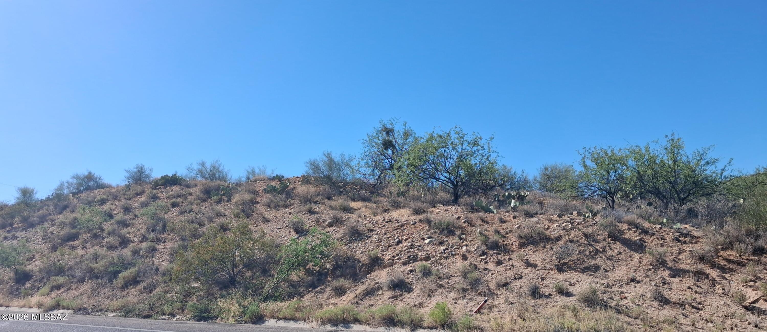 3630 East Edwin Road Tucson, AZ 85739 - Photo 5 of 6 a view of a dry yard with trees in the background