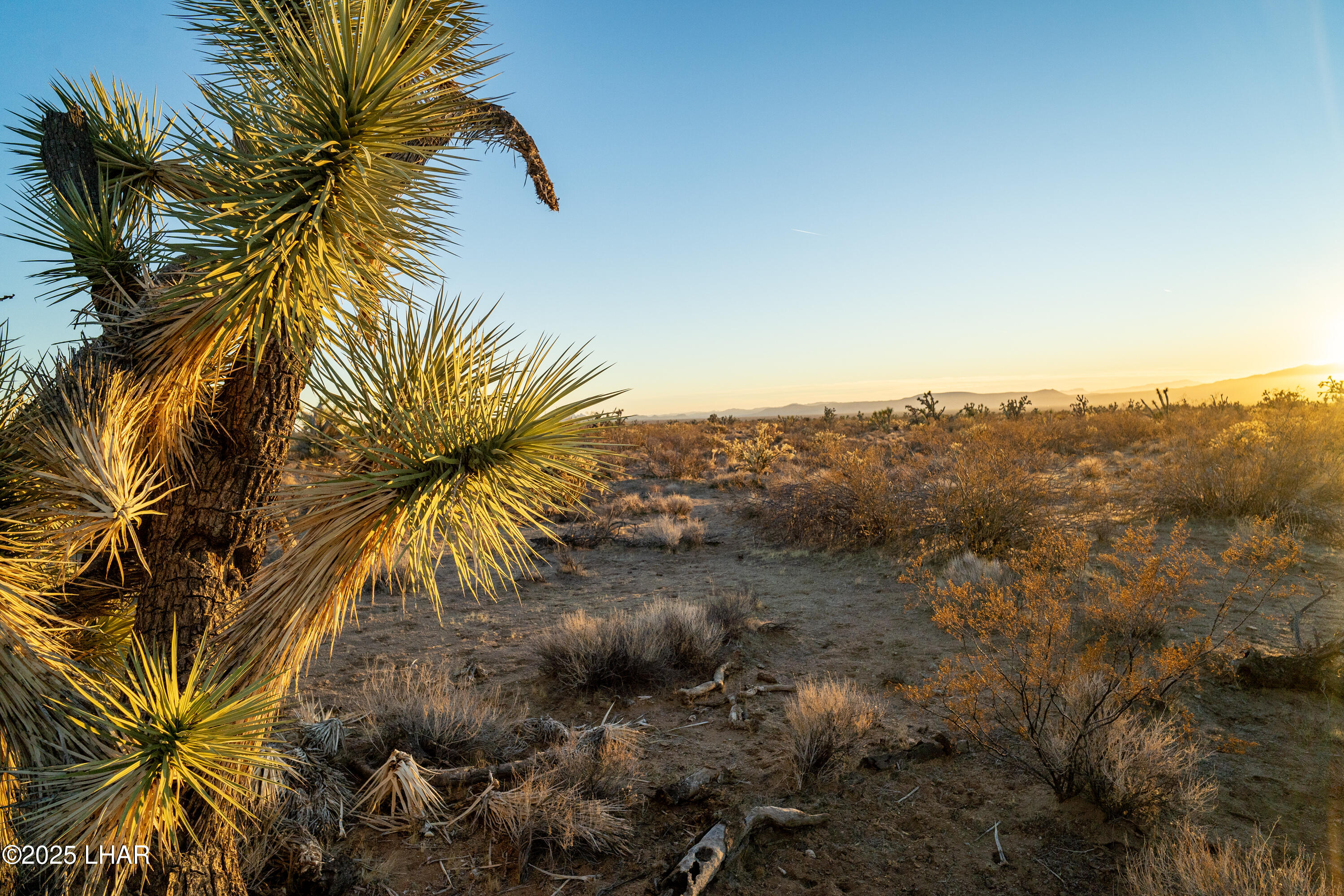 2641 South Javalina Road Yucca, AZ 86438 - Photo 2 of 41 DSC02401