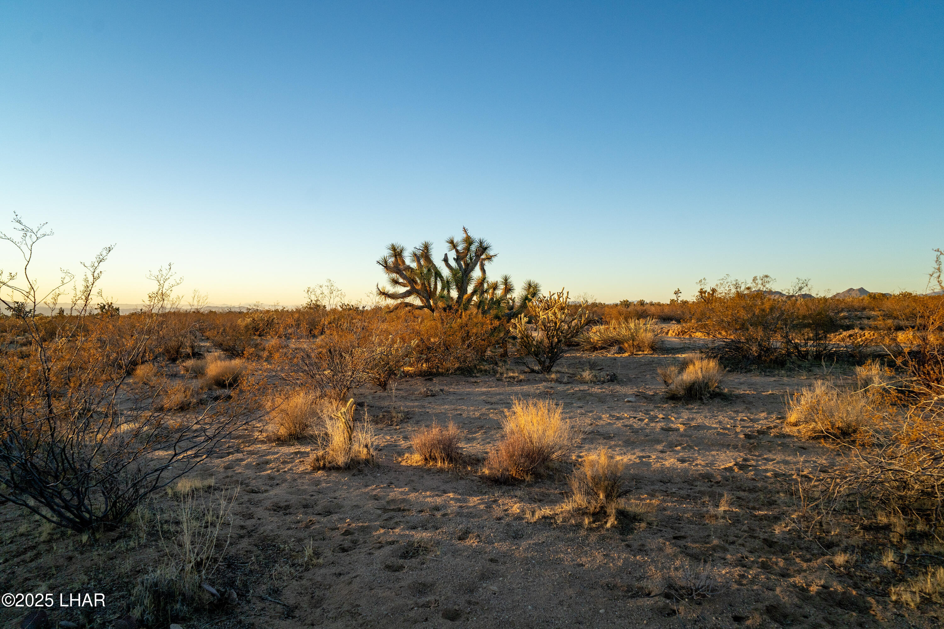2641 South Javalina Road Yucca, AZ 86438 - Photo 24 of 41 DSC02399