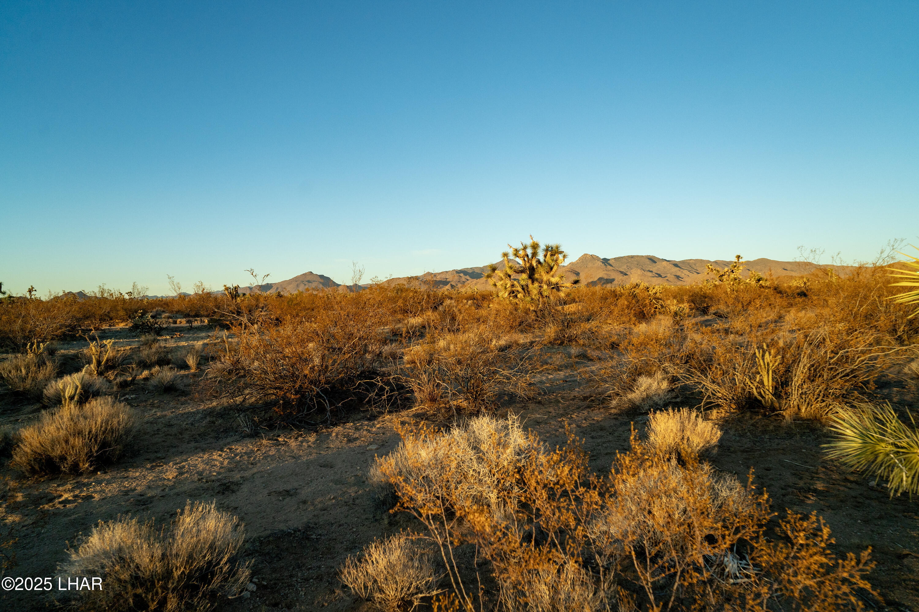 2641 South Javalina Road Yucca, AZ 86438 - Photo 25 of 41 DSC02404