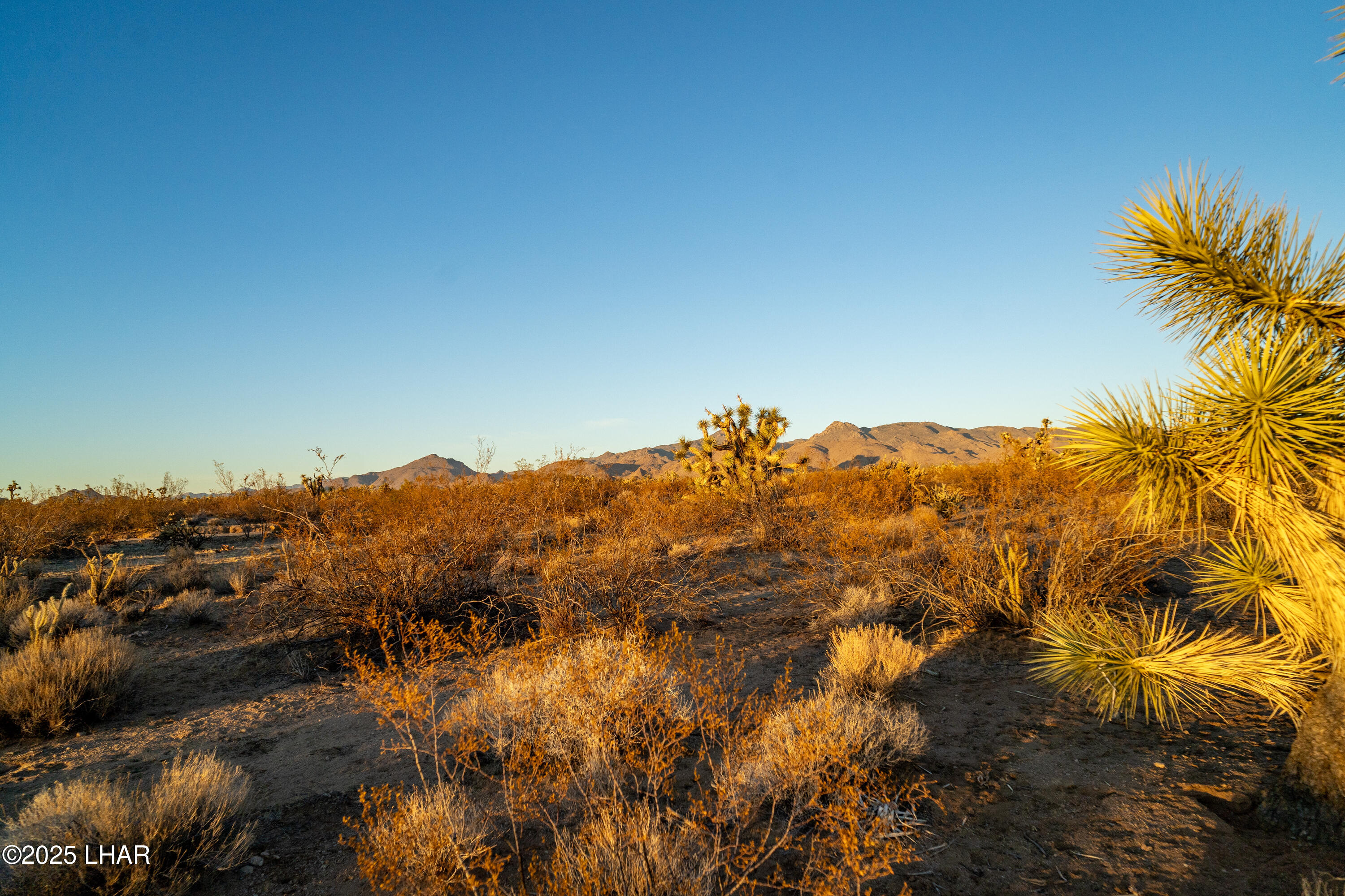 2641 South Javalina Road Yucca, AZ 86438 - Photo 26 of 41 DSC02405