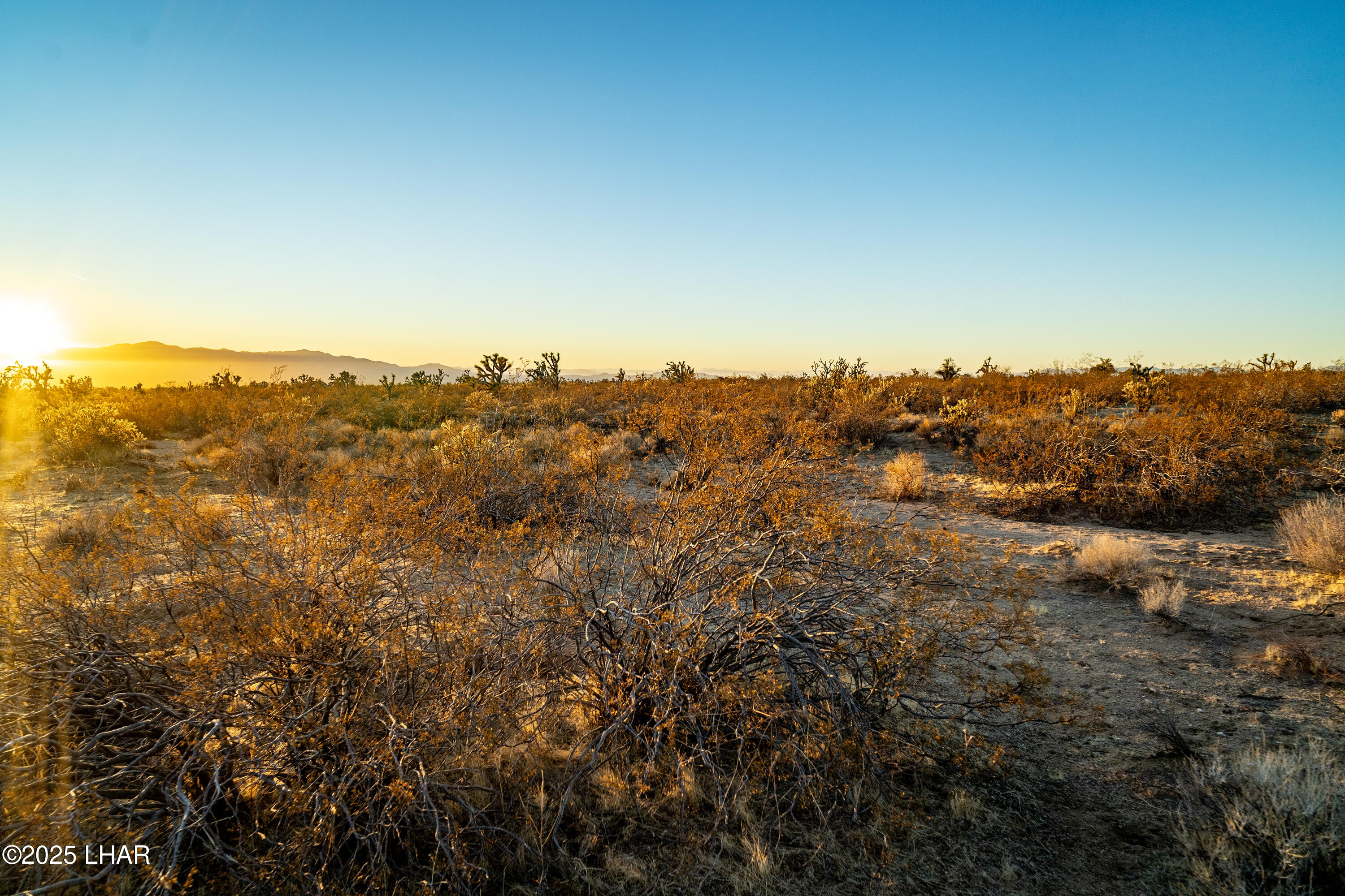 2641 South Javalina Road Yucca, AZ 86438 - Photo 28 of 41 DSC02410
