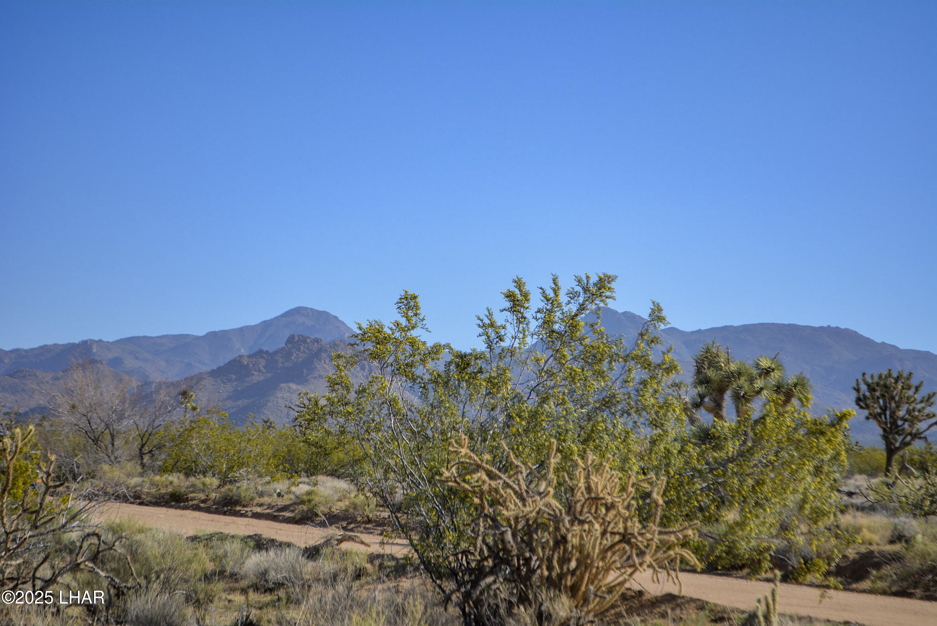 2641 South Javalina Road Yucca, AZ 86438 - Photo 40 of 41 DSC_1444