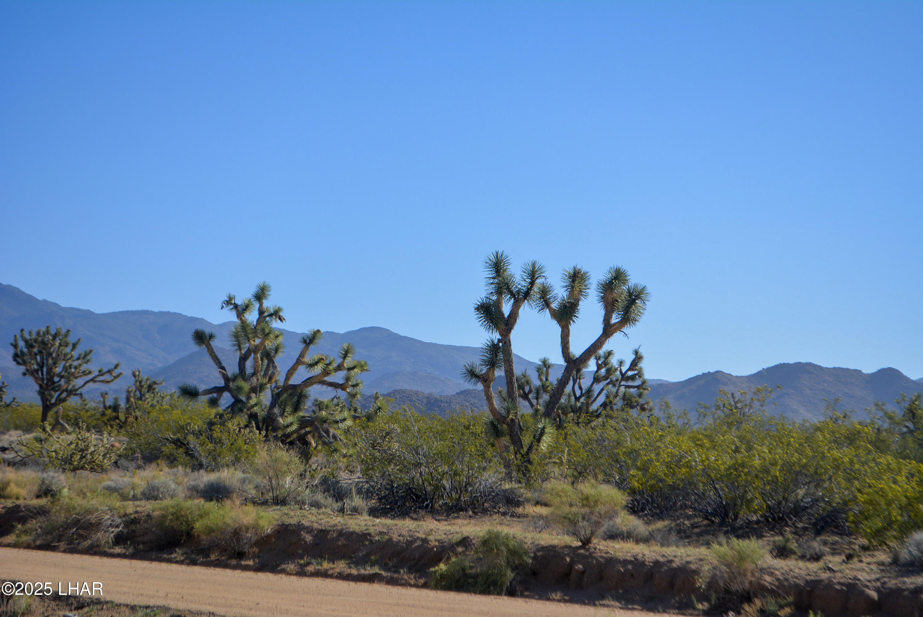 2641 South Javalina Road Yucca, AZ 86438 - Photo 41 of 41 Outlook-0mbk0waj