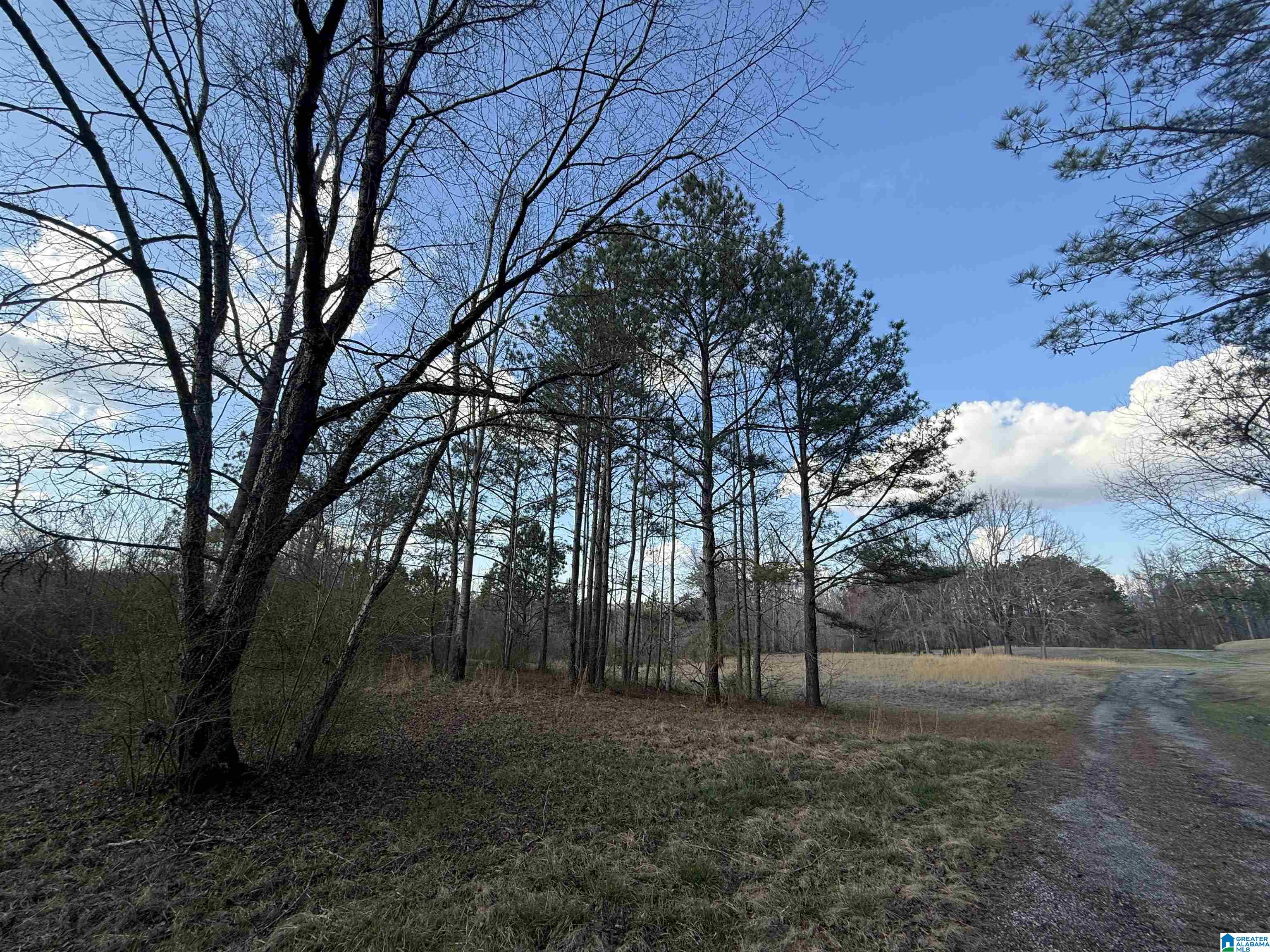 0 County Road 448 Clanton, AL 35046 - Photo 5 of 6