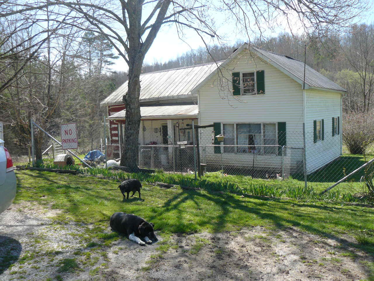 535 Frog Level Road Harrogate, TN 37752 - Photo 1 of 17 P1370406