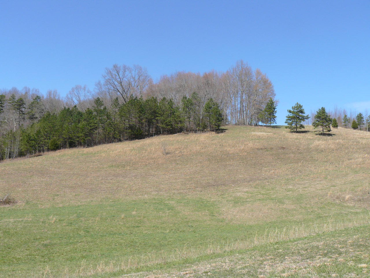535 Frog Level Road Harrogate, TN 37752 - Photo 2 of 17 P1370412