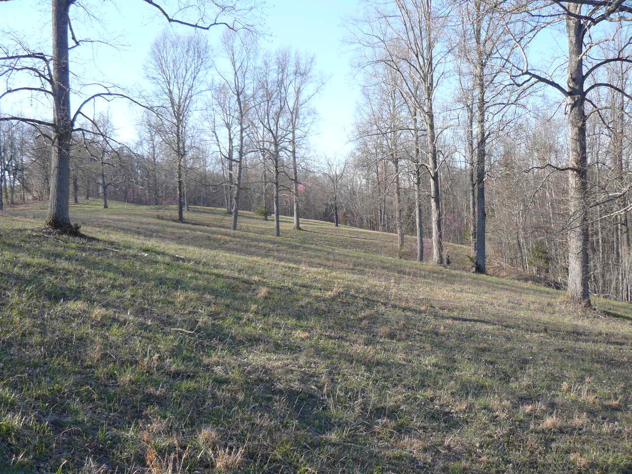 535 Frog Level Road Harrogate, TN 37752 - Photo 11 of 17 P1370423