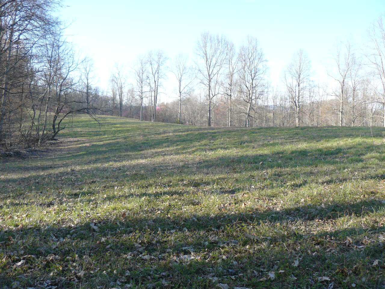 535 Frog Level Road Harrogate, TN 37752 - Photo 12 of 17 P1370426