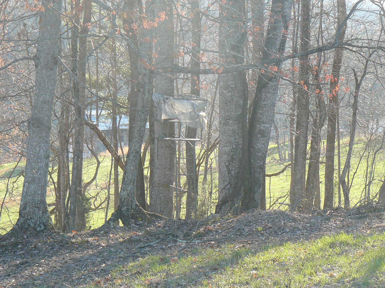 535 Frog Level Road Harrogate, TN 37752 - Photo 13 of 17 P1370428