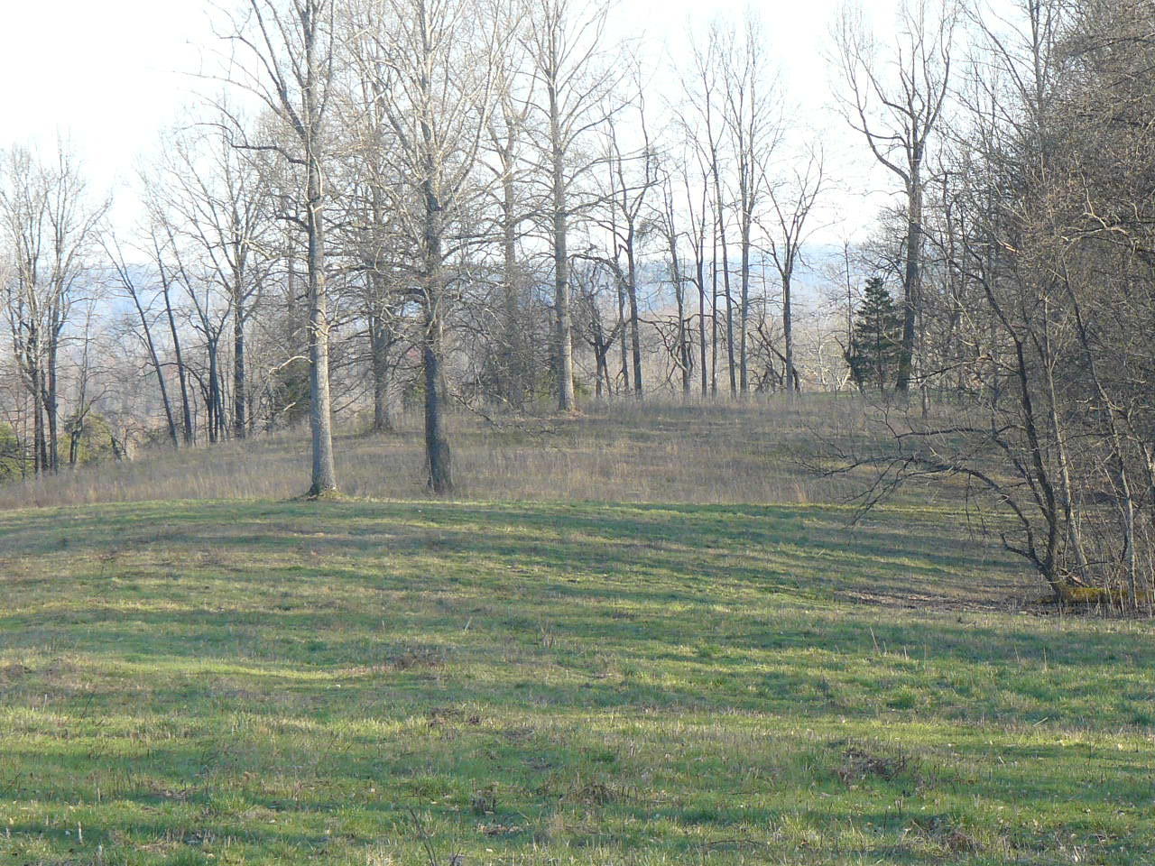 535 Frog Level Road Harrogate, TN 37752 - Photo 14 of 17 P1370429