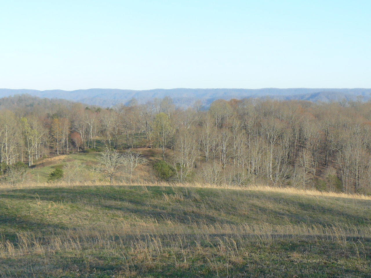 535 Frog Level Road Harrogate, TN 37752 - Photo 15 of 17 P1370432