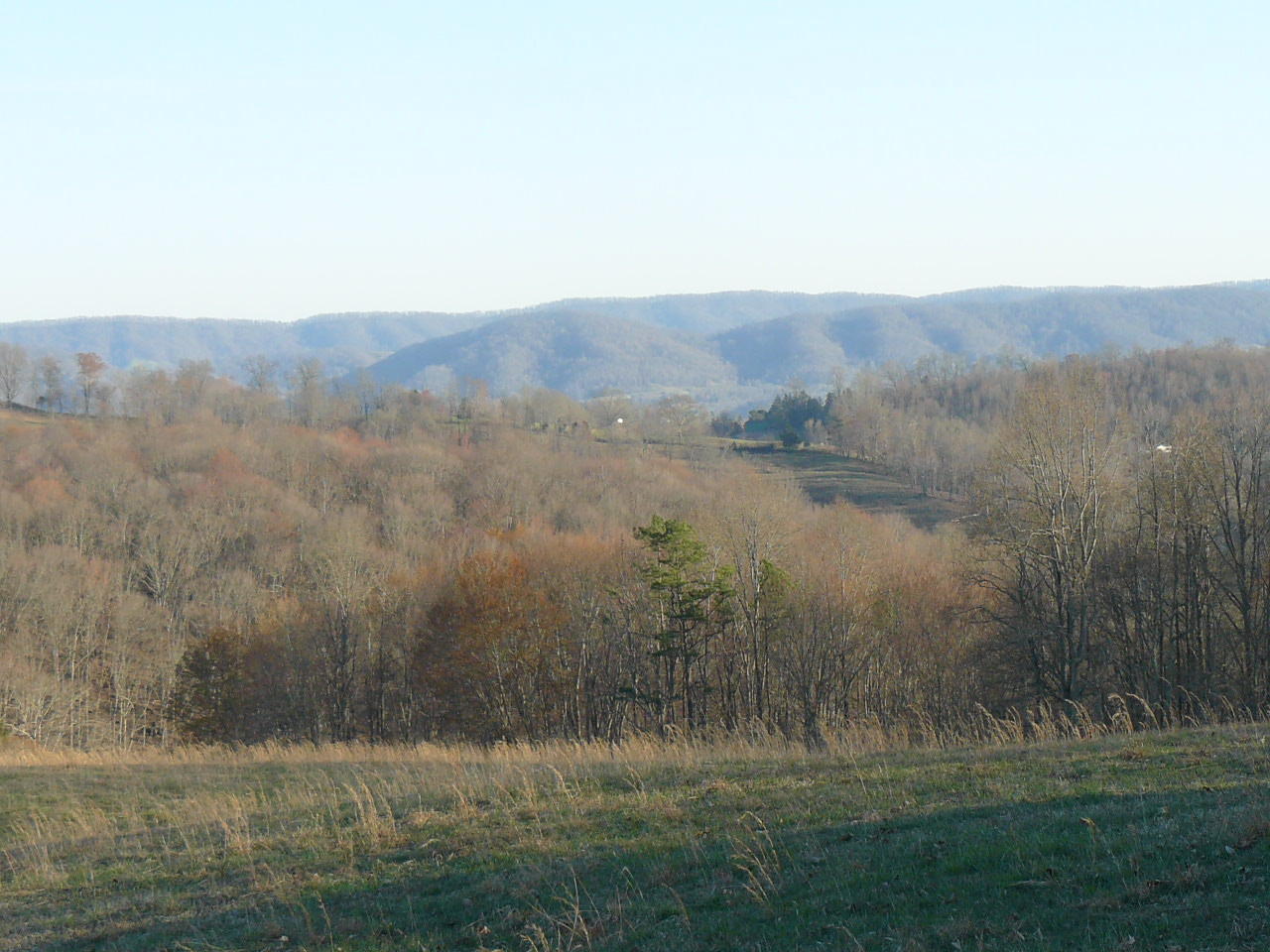 535 Frog Level Road Harrogate, TN 37752 - Photo 16 of 17 P1370435