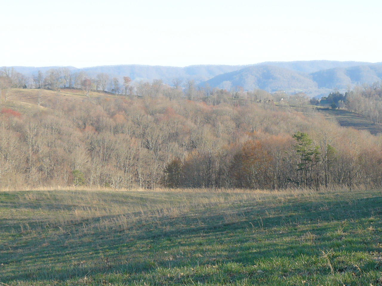 535 Frog Level Road Harrogate, TN 37752 - Photo 17 of 17 P1370437