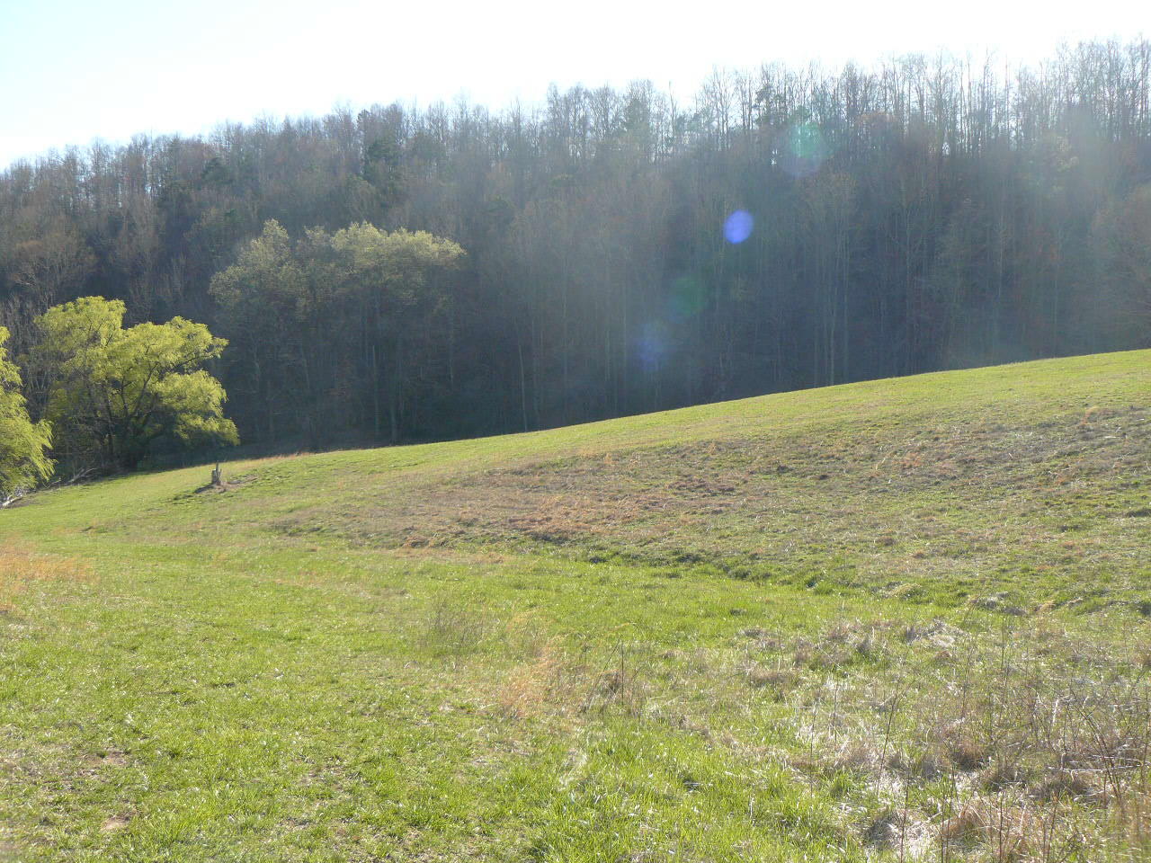 535 Frog Level Road Harrogate, TN 37752 - Photo 7 of 17 P1370417