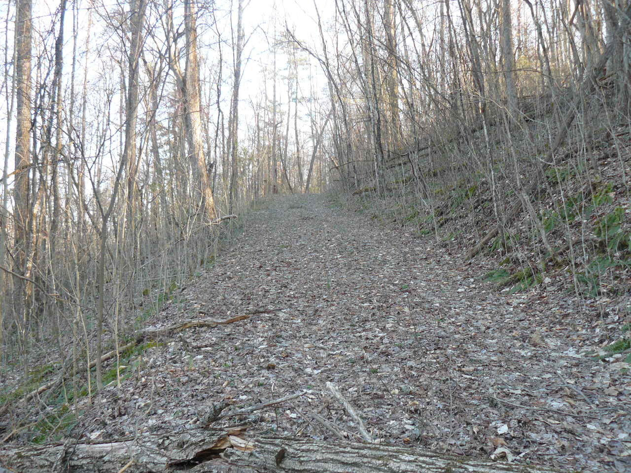 535 Frog Level Road Harrogate, TN 37752 - Photo 10 of 17 P1370422