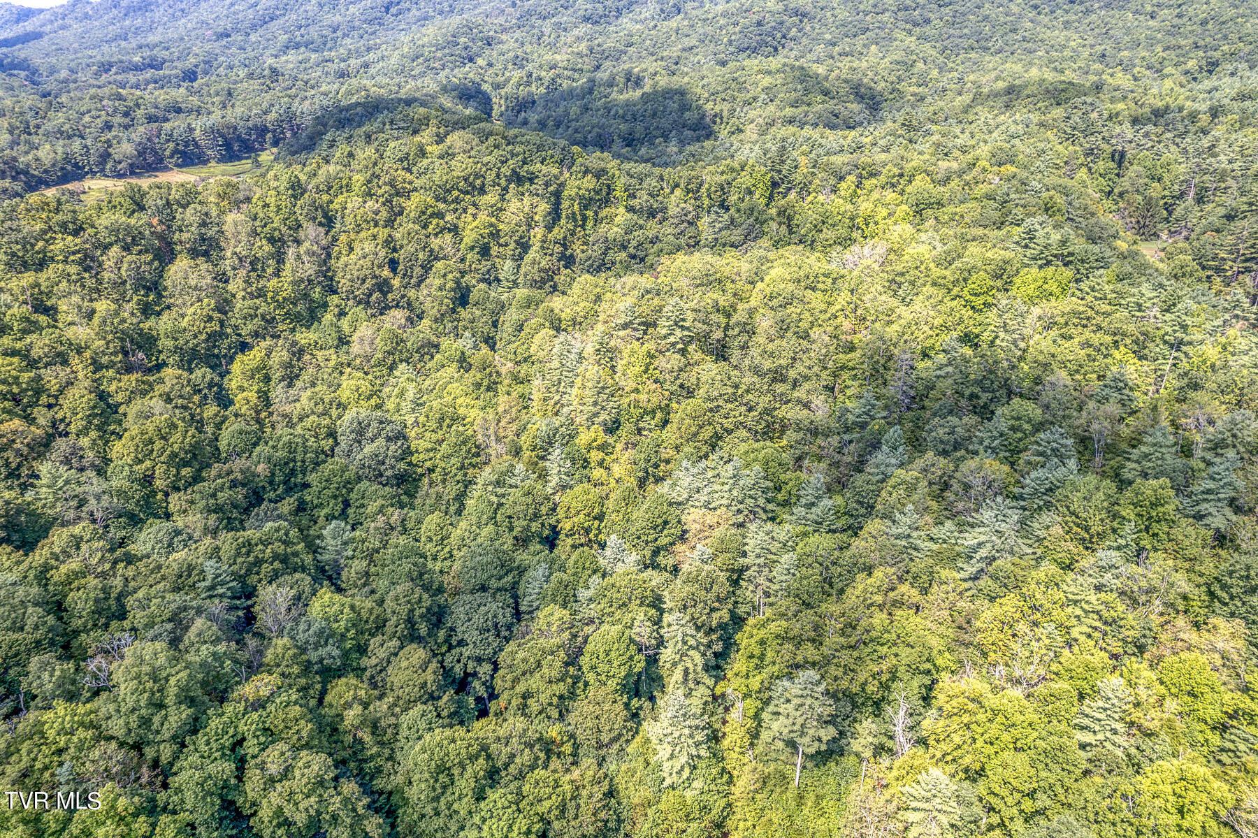 0 Waters Road Mountain City, TN 37683 - Photo 11 of 34 TBD Waters Branch Rd Aerial-8