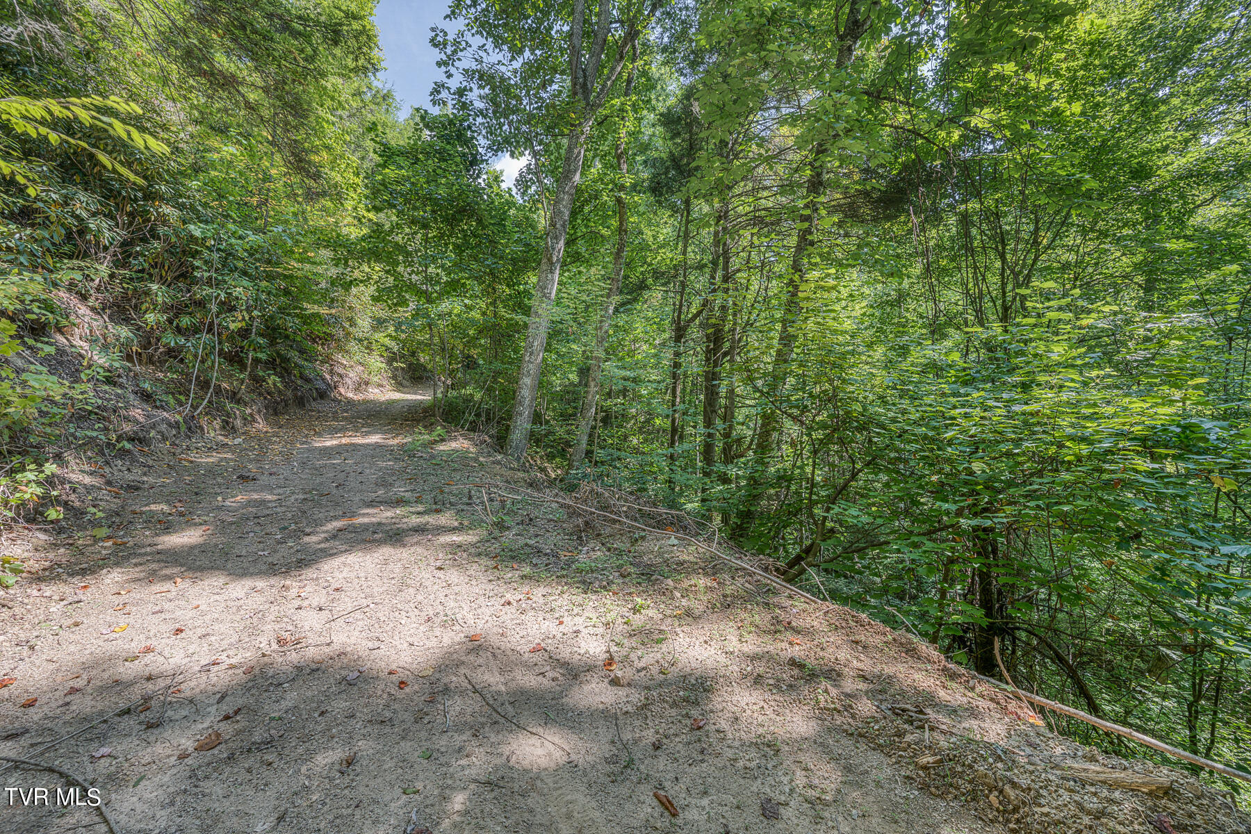 0 Waters Road Mountain City, TN 37683 - Photo 23 of 34 TBD Waters Branch RD Tract 1-2