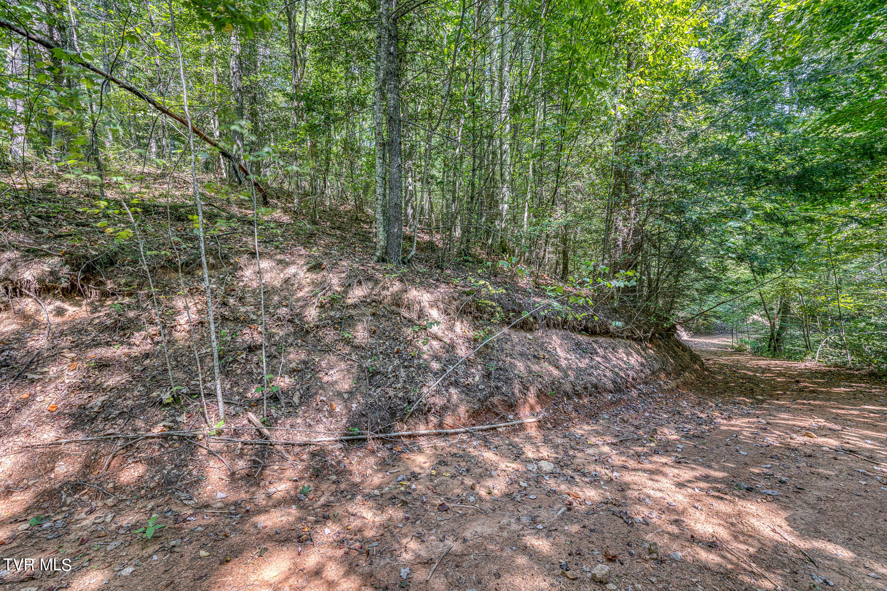 0 Waters Road Mountain City, TN 37683 - Photo 28 of 34 TBD Waters Branch RD Tract 1-7