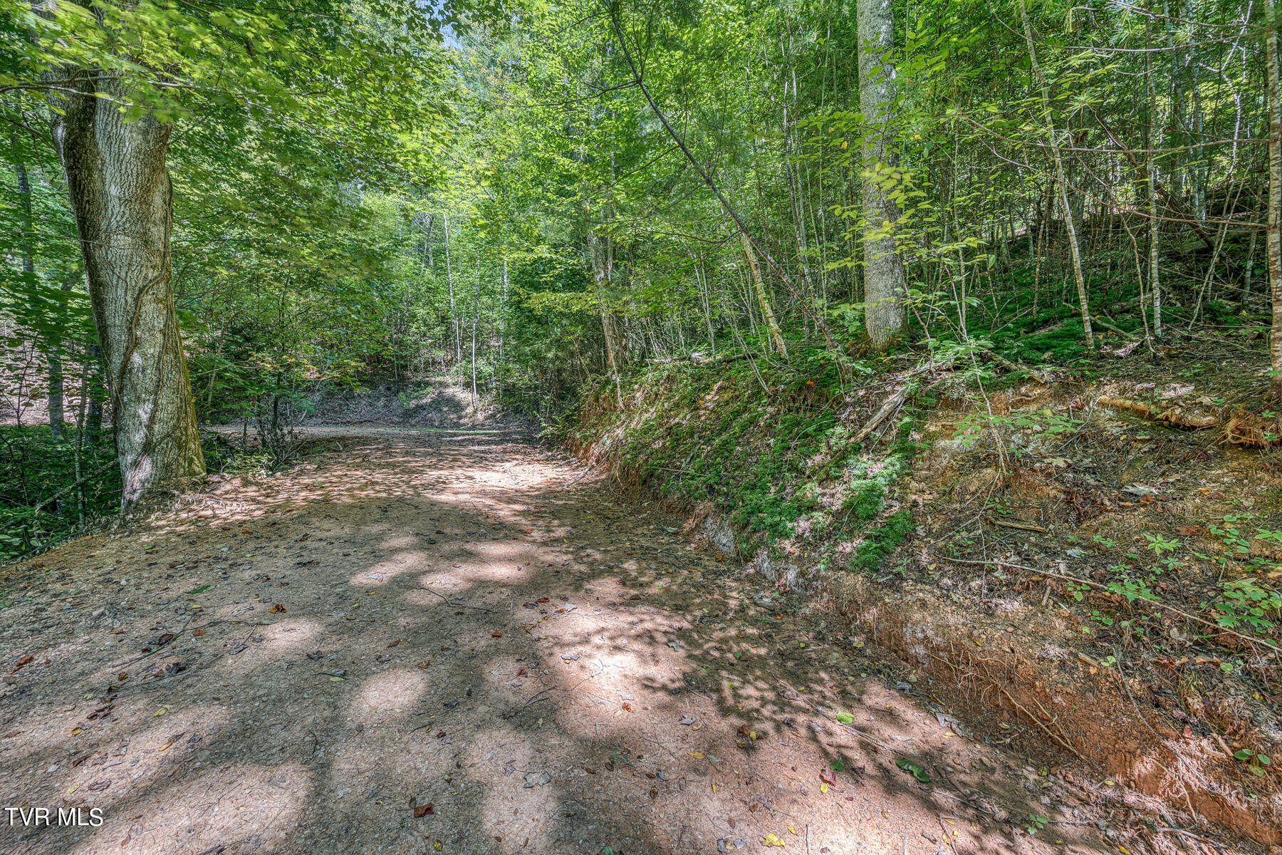 0 Waters Road Mountain City, TN 37683 - Photo 29 of 34 TBD Waters Branch RD Tract 1-8