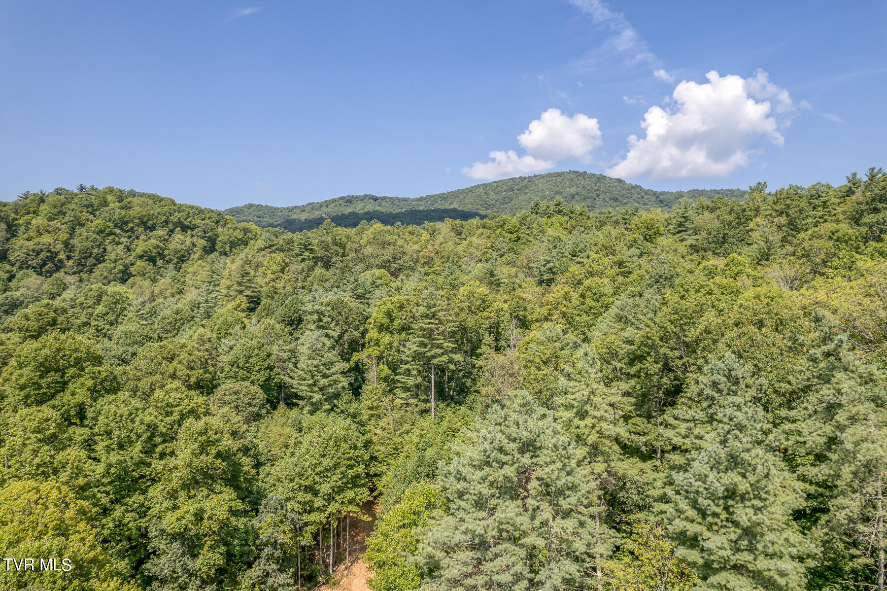 0 Waters Road Mountain City, TN 37683 - Photo 4 of 34 TBD Waters Branch Rd Aerial-1