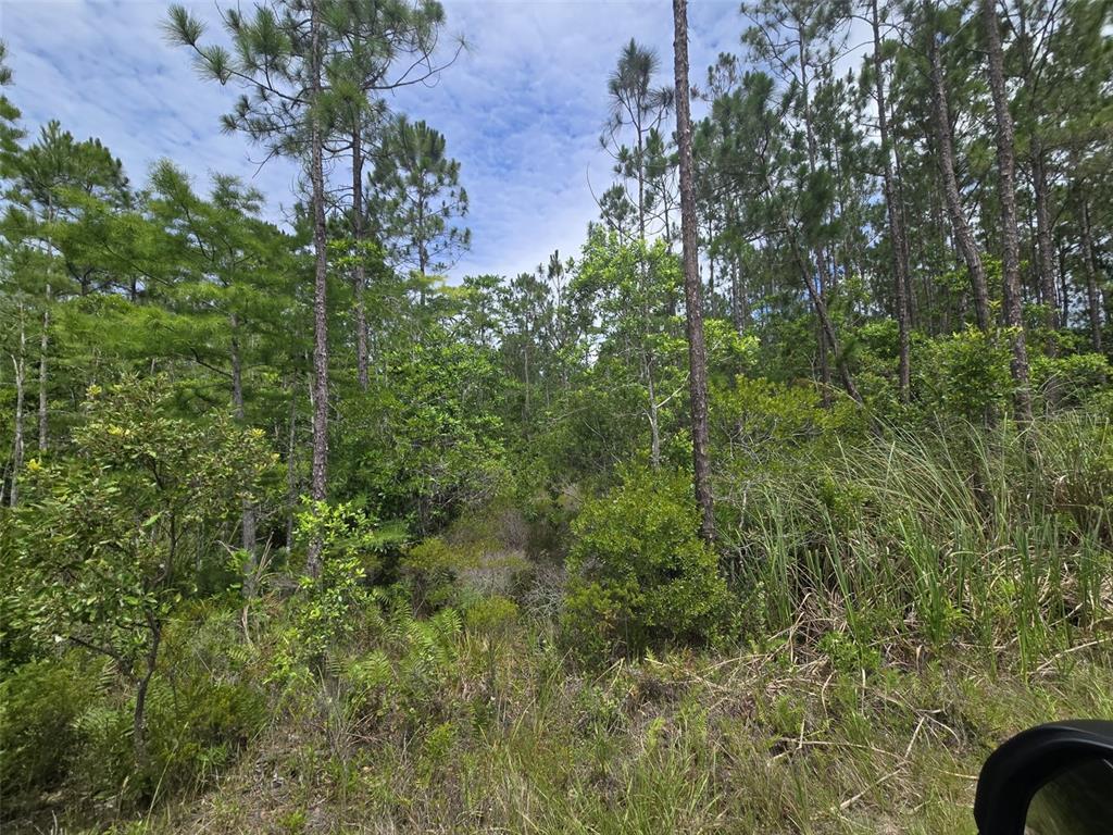 1135 Omega Ranch Road, Unit 4&5 Deltona, FL 32738 - Photo 6 of 11 a view of a garden
