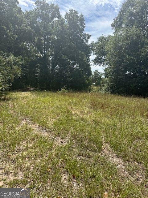 1932 Marshallville Road Perry, GA 31069 - Photo 12 of 14 a view of a yard