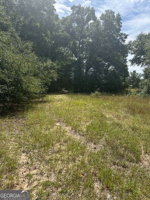 1932 Marshallville Road Perry, GA 31069 - Photo 13 of 14 a view of outdoor space and yard