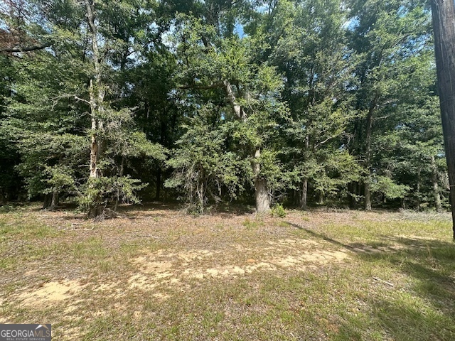 1932 Marshallville Road Perry, GA 31069 - Photo 14 of 14 a view of a yard with trees