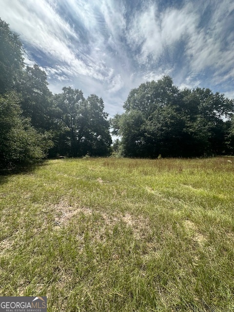 1932 Marshallville Road Perry, GA 31069 - Photo 2 of 14 a view of a garden