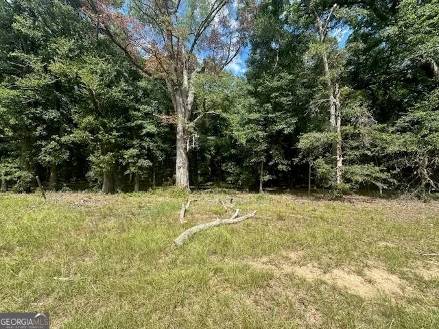 a view of a yard with trees