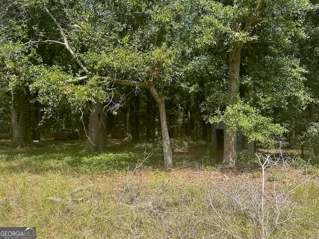 a backyard of a house with lots of green space