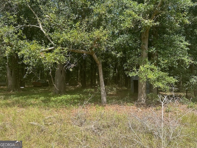 1932 Marshallville Road Perry, GA 31069 - Photo 6 of 14 a backyard of a house with lots of green space